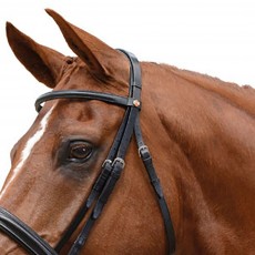 Sample Albion Padded Head Piece (For KB Competition Snaffle Bridle)
