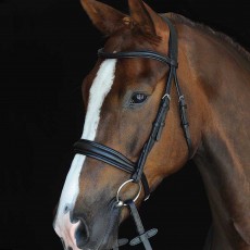 Collegiate Mono Crown Padded Raised Cavesson Bridle (Brown)