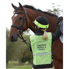 Roma Reflective Safety Vest (Yellow)