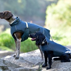 Weatherbeeta Explorer Medium Dog Coat (Navy)