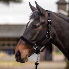 Mark Todd Deluxe Padded Headcollar With Leadrope (Black)