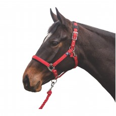 Mark Todd Deluxe Padded Headcollar With Leadrope (Red)