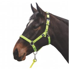Mark Todd Deluxe Padded Headcollar With Leadrope (Yellow)