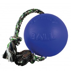 Jolly Pets Romp-N-Roll Jolly Ball (Blue)