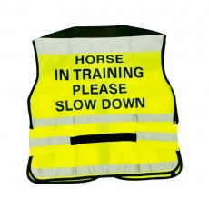Equisafety Adults Air Waistcoat Horse In Training (Yellow)
