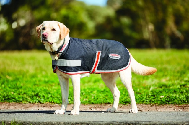 Weatherbeeta Comfitec 1200d Therapy-Tec Dog Coat (Black/Silver/Red)