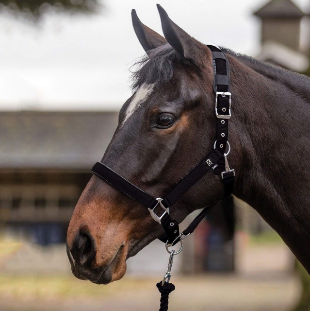 Mark Todd Deluxe Padded Headcollar With Leadrope (Black)