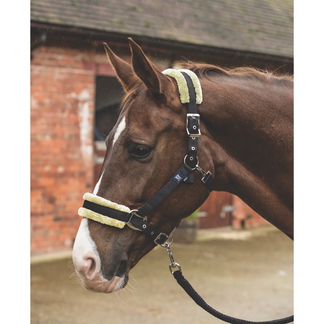 Mark Todd Fleece Lined Headcollar with Lead Rope (Black/Natural)
